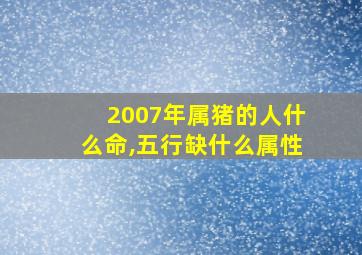 2007年属猪的人什么命,五行缺什么属性