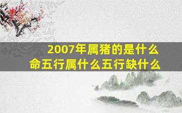 2007年属猪的是什么命五行属什么五行缺什么