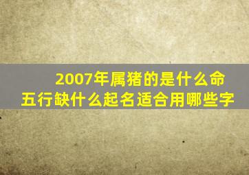 2007年属猪的是什么命五行缺什么起名适合用哪些字