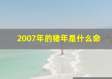 2007年的猪年是什么命