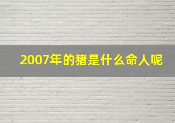 2007年的猪是什么命人呢