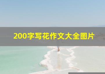 200字写花作文大全图片