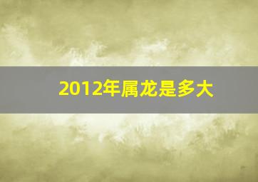 2012年属龙是多大