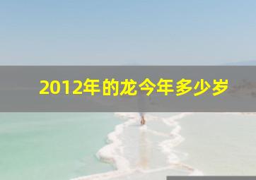 2012年的龙今年多少岁