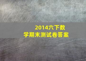 2014六下数学期末测试卷答案