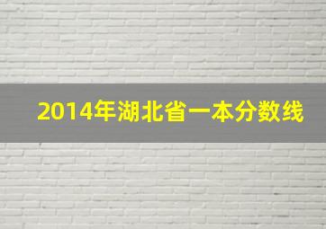 2014年湖北省一本分数线