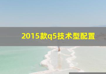 2015款q5技术型配置