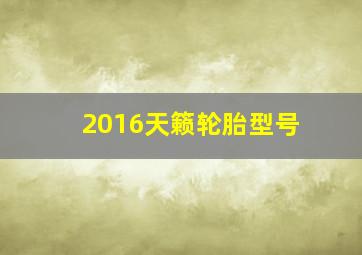 2016天籁轮胎型号