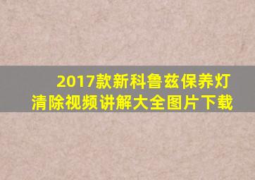 2017款新科鲁兹保养灯清除视频讲解大全图片下载