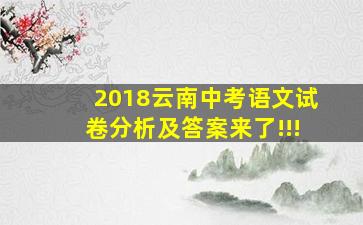 2018云南中考语文试卷分析及答案来了!!!