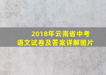 2018年云南省中考语文试卷及答案详解图片