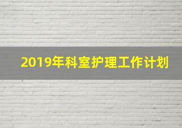 2019年科室护理工作计划