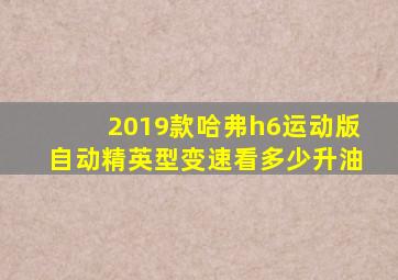 2019款哈弗h6运动版自动精英型变速看多少升油