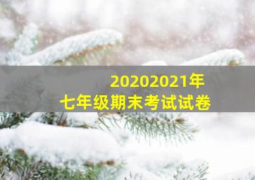 20202021年七年级期末考试试卷