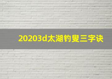 20203d太湖钓叟三字诀