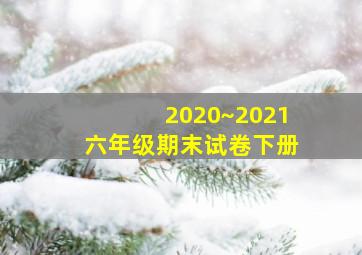 2020~2021六年级期末试卷下册