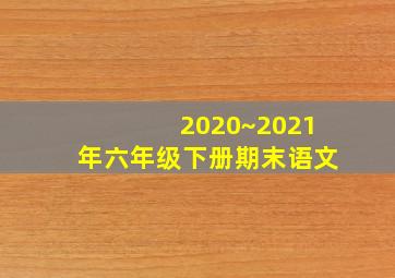 2020~2021年六年级下册期末语文