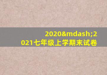 2020—2021七年级上学期末试卷