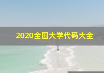 2020全国大学代码大全