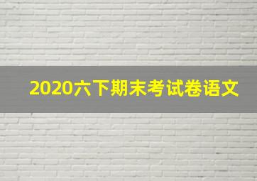 2020六下期末考试卷语文