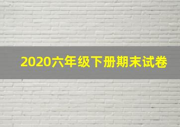 2020六年级下册期末试卷