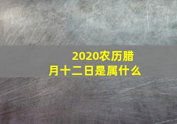 2020农历腊月十二日是属什么