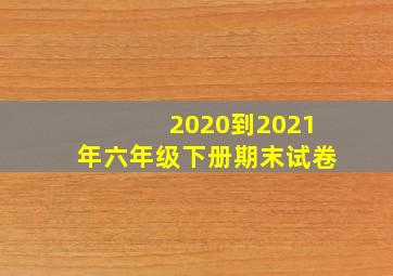 2020到2021年六年级下册期末试卷