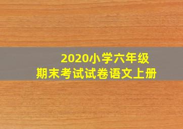 2020小学六年级期末考试试卷语文上册