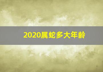 2020属蛇多大年龄