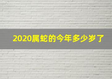 2020属蛇的今年多少岁了