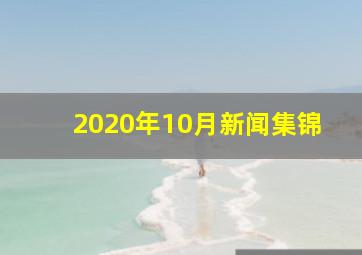 2020年10月新闻集锦