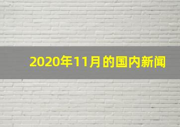 2020年11月的国内新闻