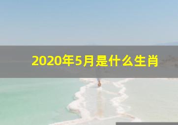 2020年5月是什么生肖