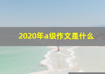 2020年a级作文是什么