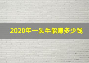 2020年一头牛能赚多少钱