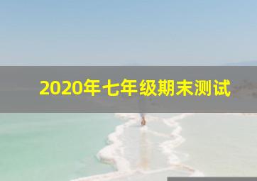 2020年七年级期末测试