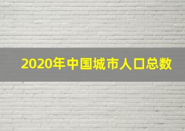 2020年中国城市人口总数