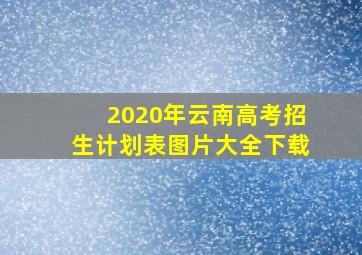 2020年云南高考招生计划表图片大全下载