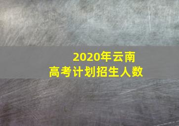 2020年云南高考计划招生人数