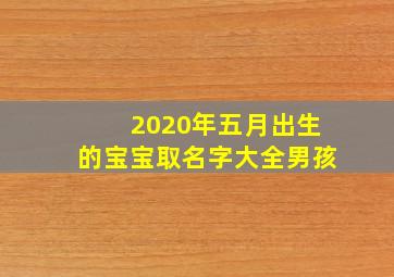 2020年五月出生的宝宝取名字大全男孩