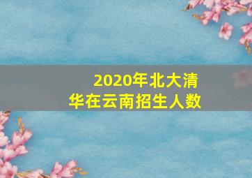 2020年北大清华在云南招生人数