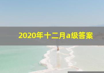 2020年十二月a级答案