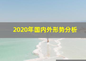 2020年国内外形势分析