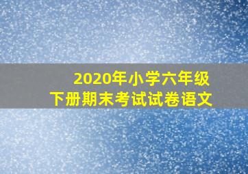 2020年小学六年级下册期末考试试卷语文