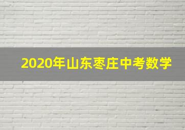 2020年山东枣庄中考数学