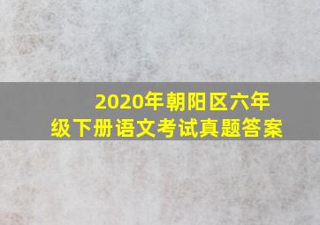 2020年朝阳区六年级下册语文考试真题答案