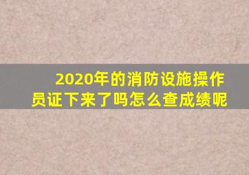 2020年的消防设施操作员证下来了吗怎么查成绩呢