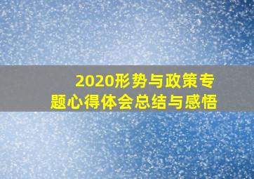 2020形势与政策专题心得体会总结与感悟