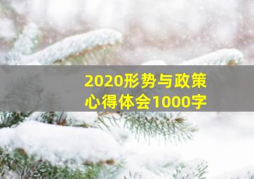 2020形势与政策心得体会1000字