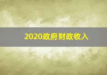 2020政府财政收入